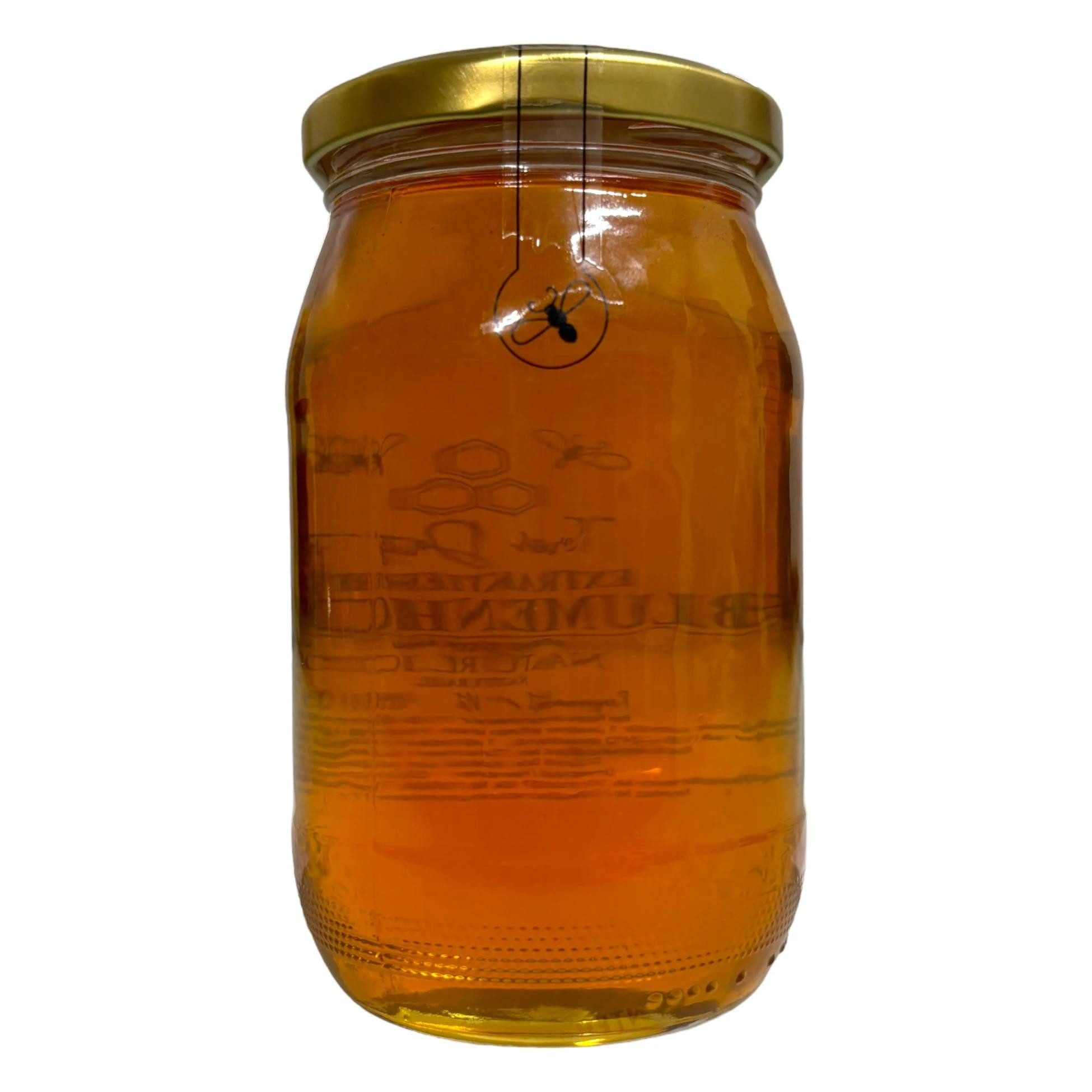 Toros Dagi Honig Egricayir Blütenhonig 480g