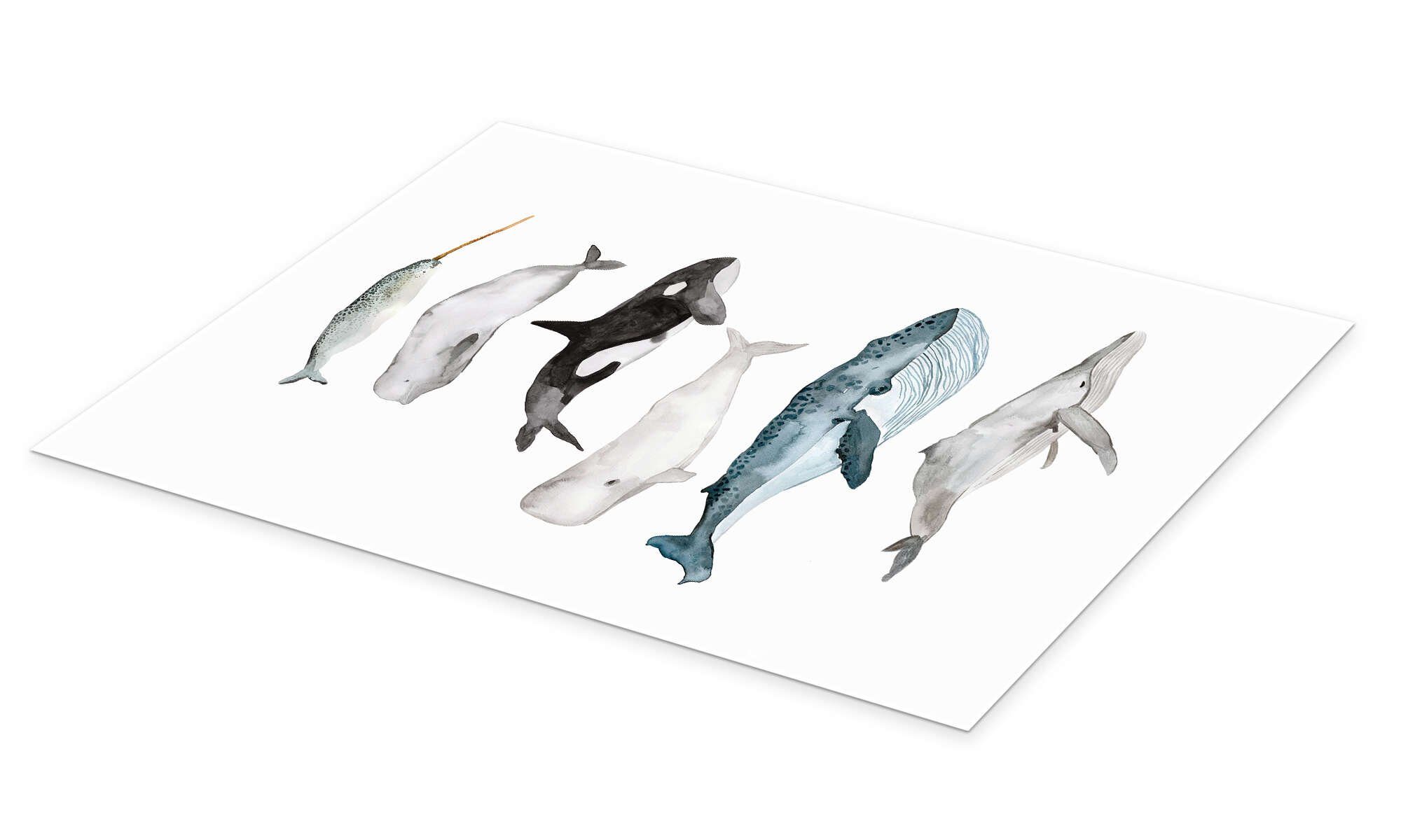 Posterlounge Wandbild Leben im Meer, Wale, Mantika Studio, erhältlich als Poster, Leinwandbild, Wandsticker oder Acrylglasbild