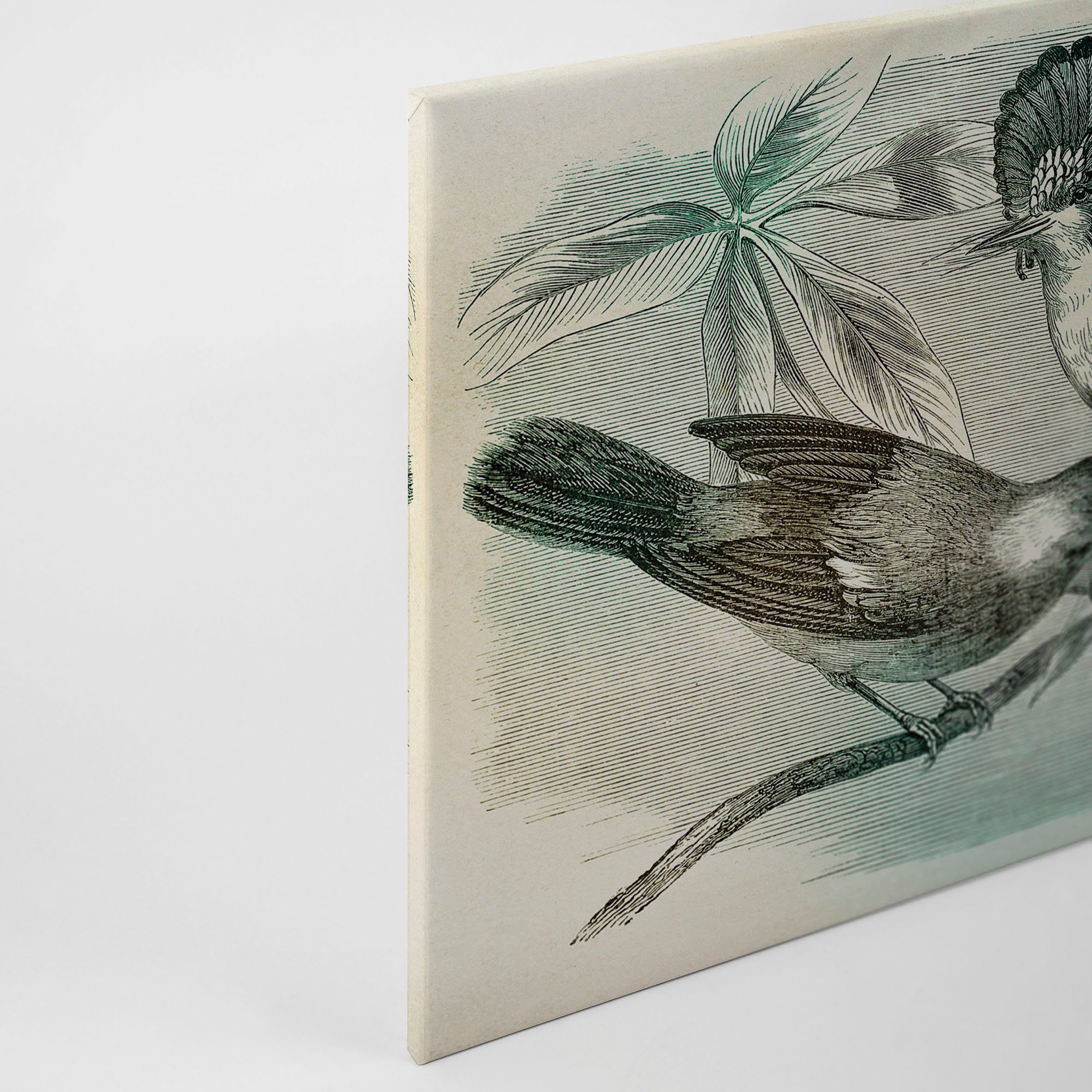 grau Keilrahmen birds, Bild vintage St), (1 blau, Vogel Création Leinwandbild grün, A.S.