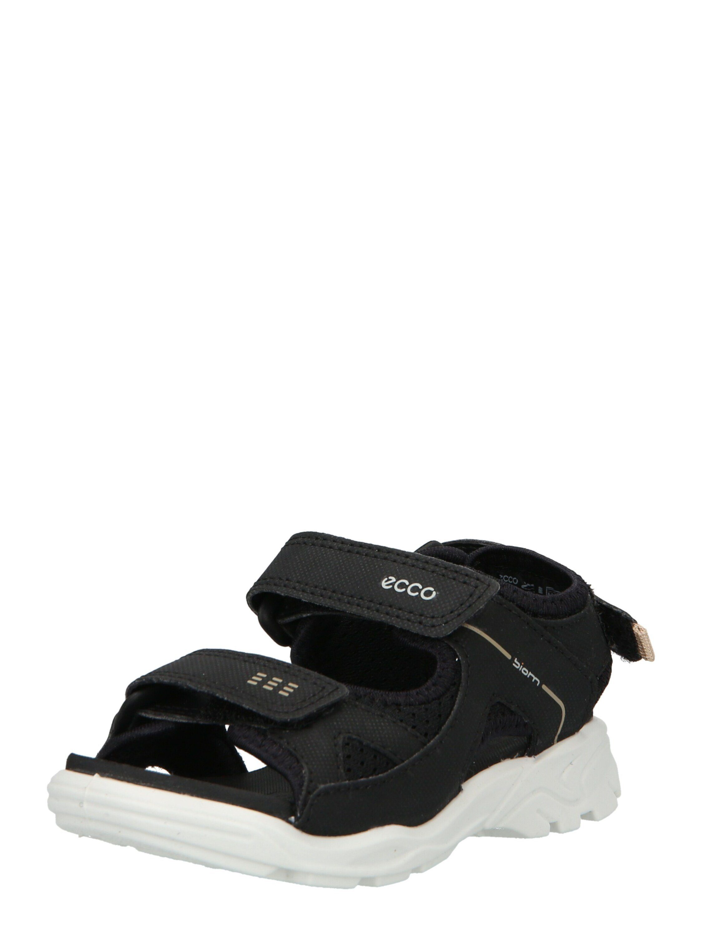 Ecco ECCO BIOM RAFT Sandale (1-tlg)