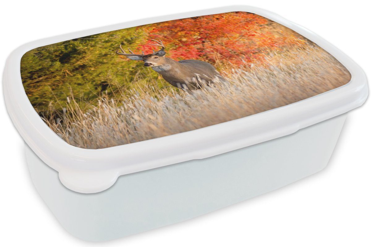 Kunststoff, weiß - Erwachsene, für Wald, und Hirsche für Jungs Brotdose, Kinder und MuchoWow Lunchbox Mädchen - Brotbox Geweihe (2-tlg),