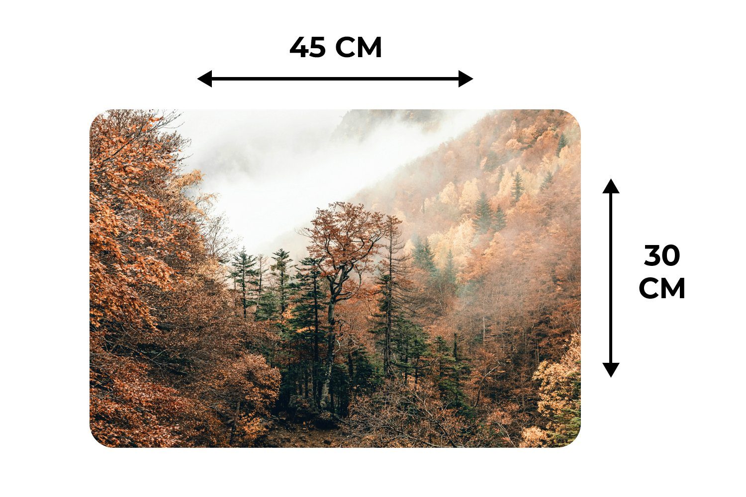Platzset, Natur - Wald - Schmutzabweisend (6-St), MuchoWow, Herbst, - Nebel Platzset, Platzmatte, Tischmatten, Platzdecken