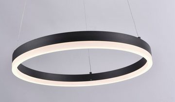 Paul Neuhaus LED Pendelleuchte TITUS, Dimmfunktion, Memoryfunktion, LED fest integriert, Warmweiß, Hängeleuchte, Stufenlos dimmbar über vorhandenen Wandschalter