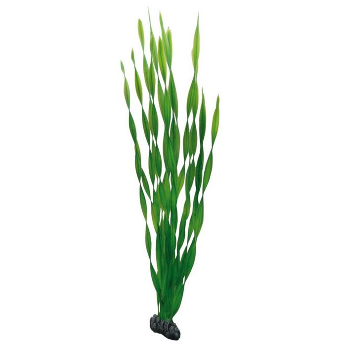HOBBY Aquariendeko Vallisneria 60 cm - Kunststoffpflanze für Aquarien