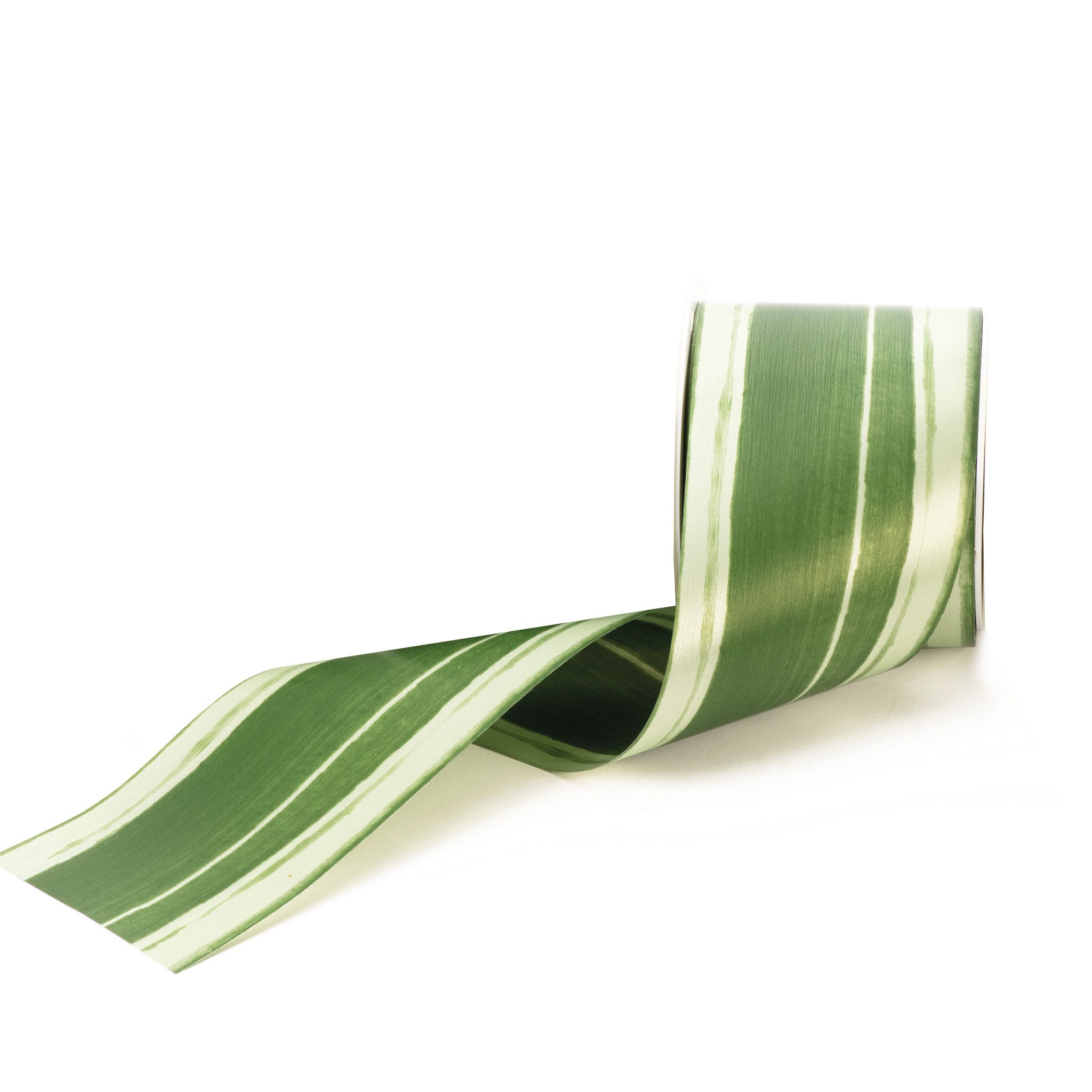 Star Dekoband, Geschenkband mit Drachenbaum Blatt Muster 75mm x 30m Rolle Grün / Weiß