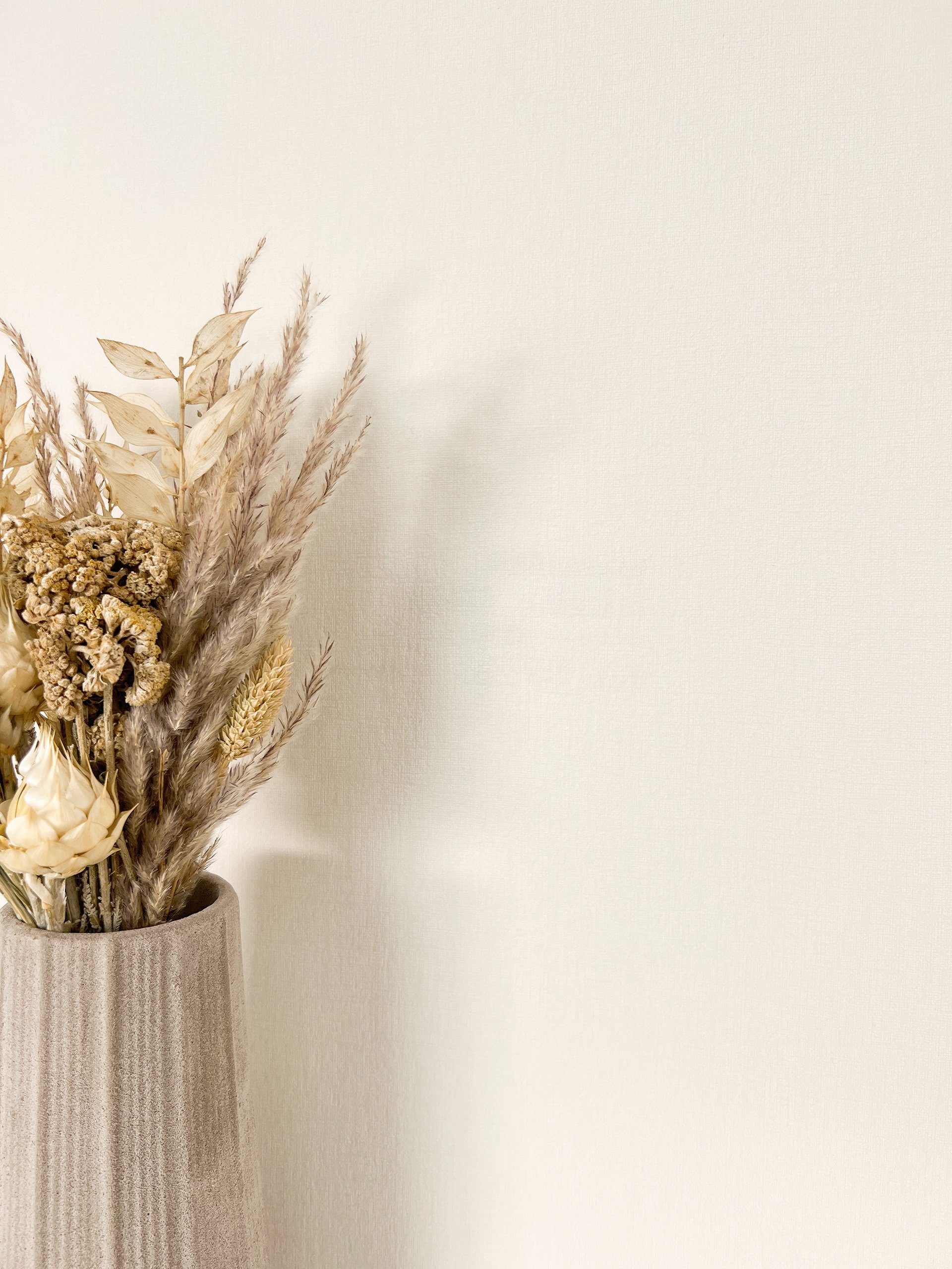 Newroom Vliestapete, Creme Tapete Modern Unifarbe - Universal Einfarbig Bei günstig online kaufen