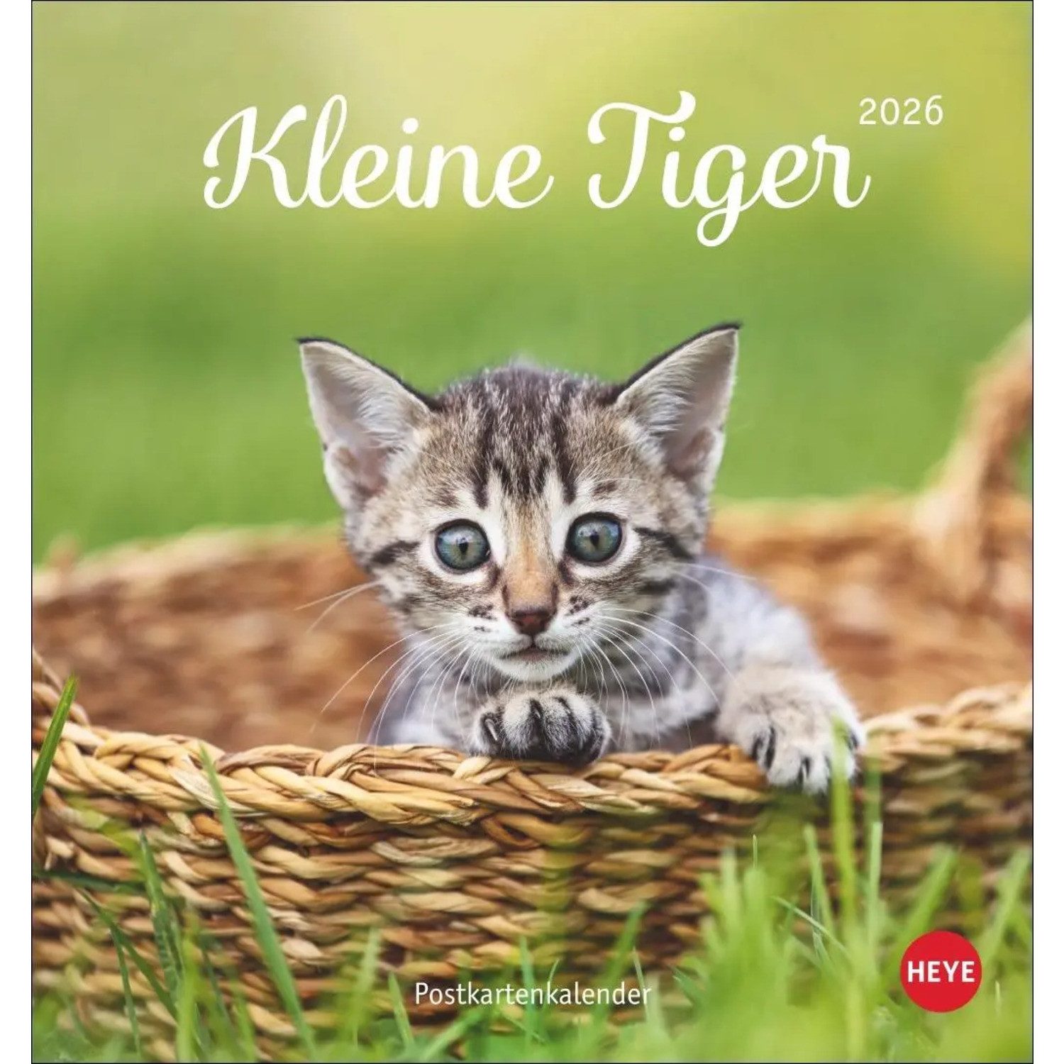 HEYE Wandkalender Katzen Postkartenkalender Kleine Tiger 2026
