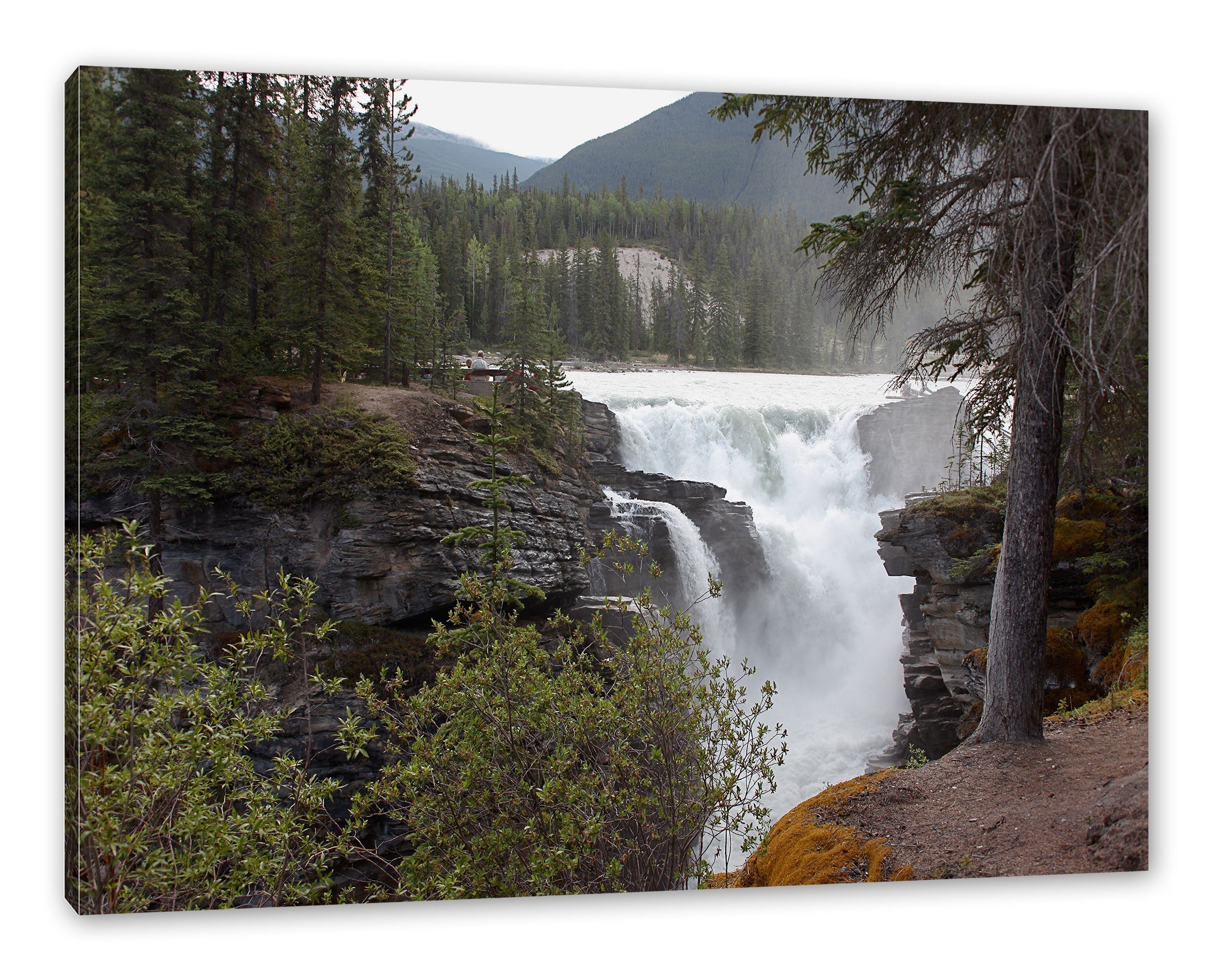 (1 Zackenaufhänger bespannt, St), Wald im Wald, Wasserfälle Leinwandbild Pixxprint im Leinwandbild fertig inkl. Wasserfälle