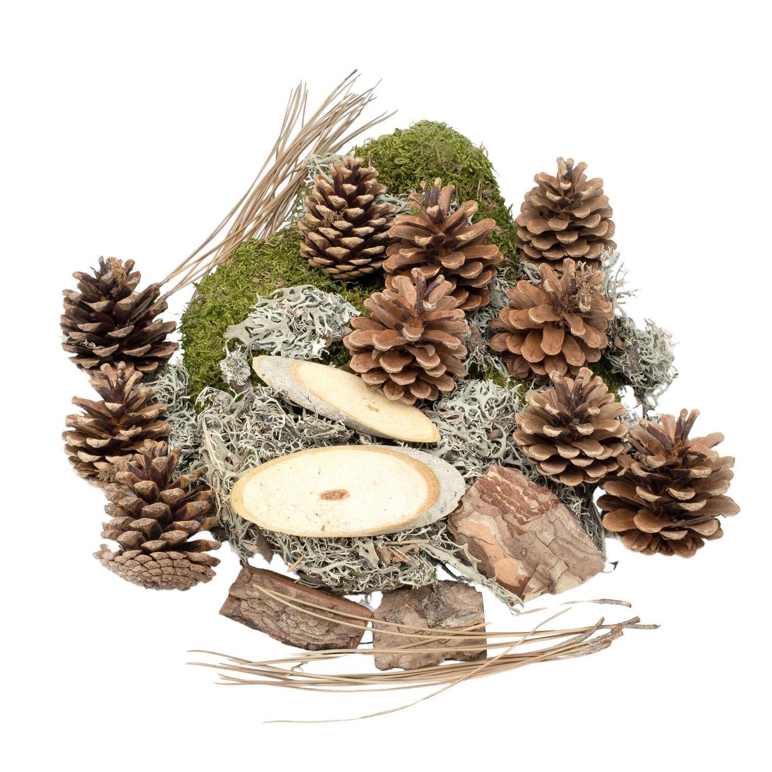NaDeco Bastelnaturmaterial Wald Potpourri in einer Packung mit ca. 450g Herbstdeko-Mix