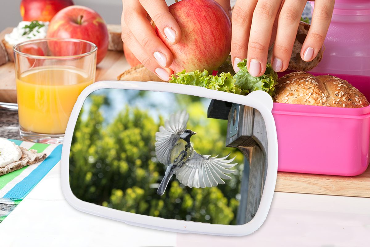 Kohlmeise MuchoWow für Brotbox in Erwachsene, ein fliegt Kunststoff Kinder, (2-tlg), Mädchen, Eine Lunchbox rosa Snackbox, Kunststoff, Brotdose Vogelhaus,