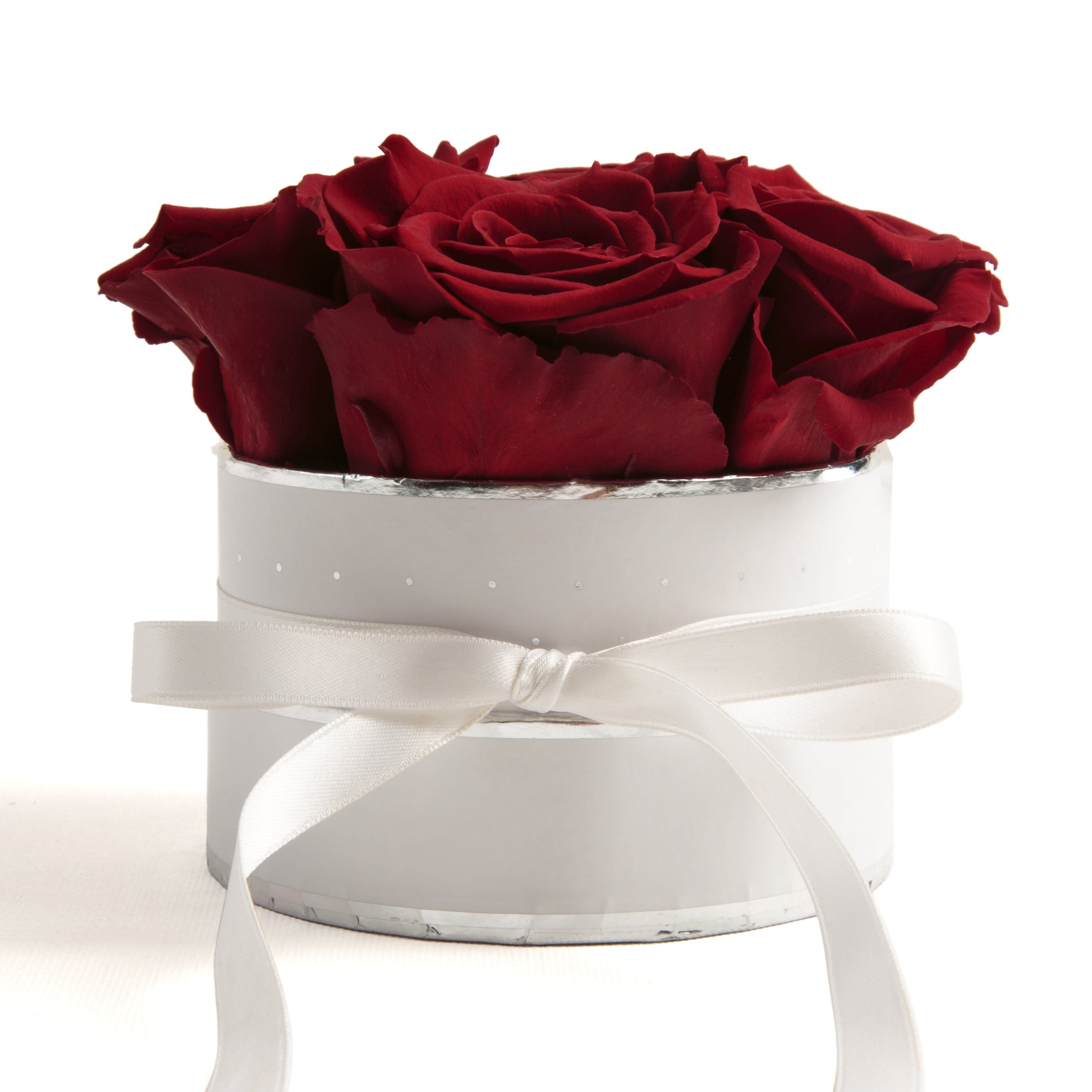 Kunstblume Infinity Rosenbox weiß rund 4 konservierte Rosen inklusiv Geschenkbox Rose, ROSEMARIE SCHULZ Heidelberg, Höhe 10 cm, echte Rosen haltbar 3 Jahre Burgundy