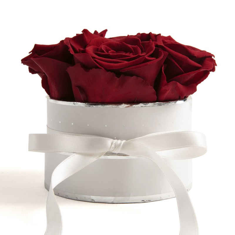 Kunstblume »Infinity Rosenbox weiß rund 4 konservierte Rosen Geschenk Frau« Rose, ROSEMARIE SCHULZ Heidelberg, Höhe 10 cm, echte Rosen haltbar 3 Jahre