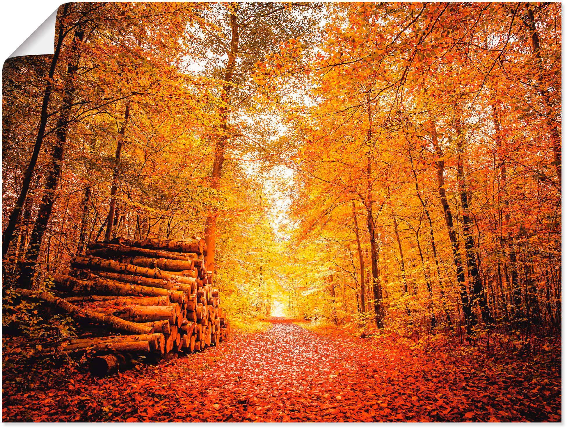 Artland Wandbild Herbstlandschaft, Vier Jahreszeiten (1 St), als Alubild, Leinwandbild, Wandaufkleber oder Poster in versch. Größen