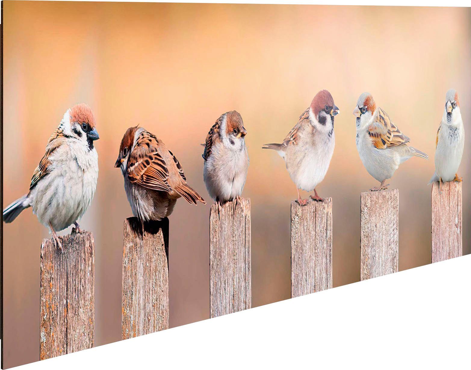Reinders! Holzbild Deco Panel 30x90 Bird Family
