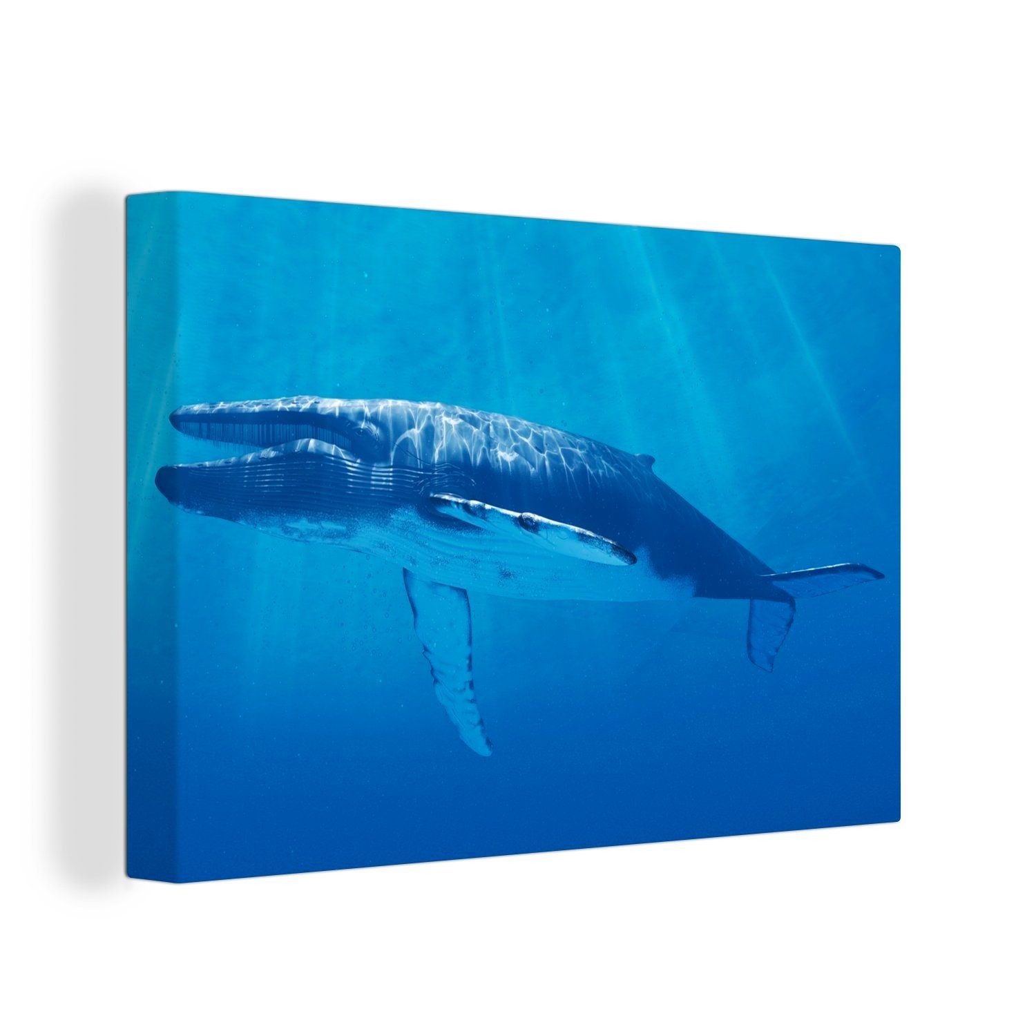 OneMillionCanvasses® Leinwandbild Eine Illustration eines Blauwals tief unter Wasser, (1 St), Wandbild Leinwandbilder, Aufhängefertig, Wanddeko, 30x20 cm