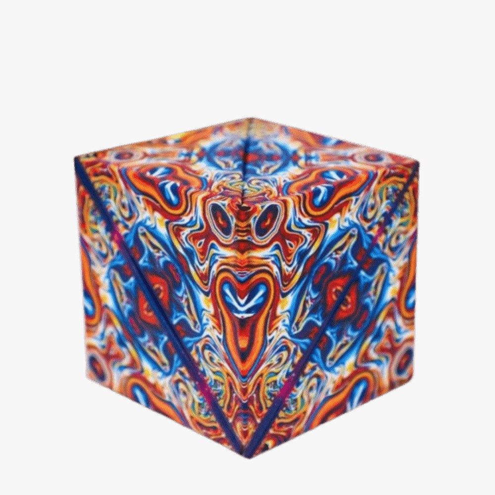 Wiztex Magnetisches Würfelpuzzle verwandelt sich in günstig online kaufen