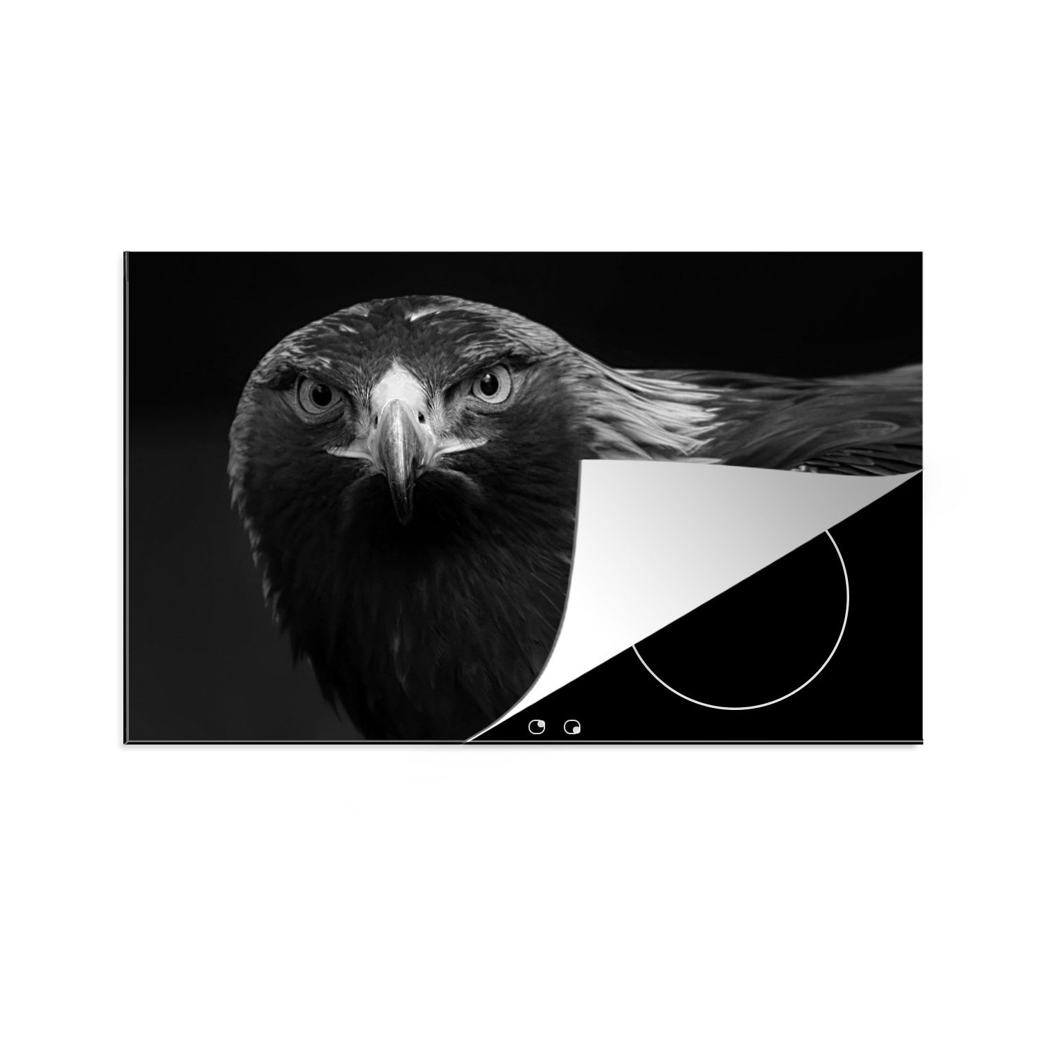 tlg), Vogel Herdblende-/Abdeckplatte Arbeitsplatte - für - - Schwarz MuchoWow Ceranfeldabdeckung, Vinyl, cm, küche (1 Bussard 81x52 - Weiß, Tiere