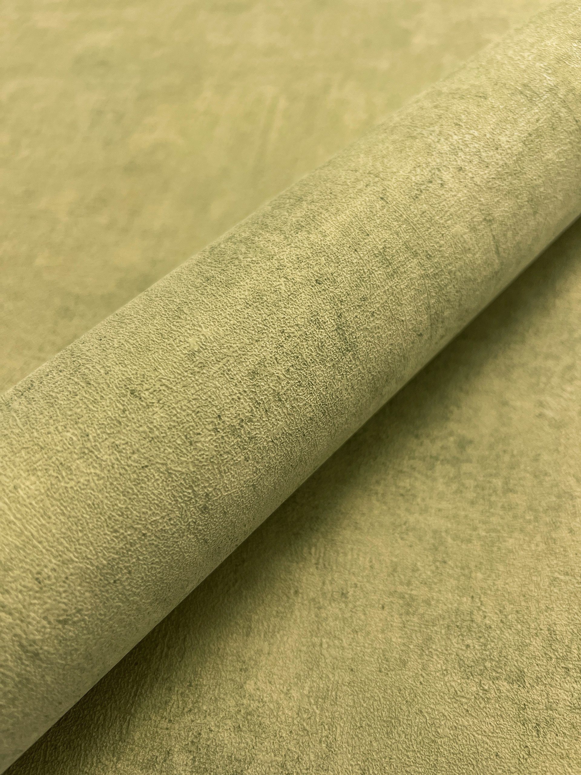 Newroom Vliestapete, Grün Tapete Modern Beton günstig online kaufen