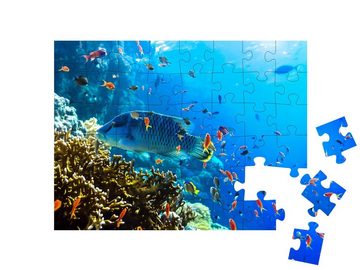 puzzleYOU Puzzle Blick unter Wasser auf die Fischvielfalt, 48 Puzzleteile, puzzleYOU-Kollektionen Unterwasser