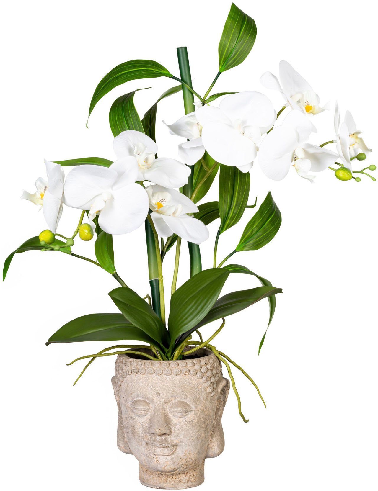 Kunstorchidee Orchideen-Bambus-Arrangement im Buddhakopf Orchidee, Creativ günstig online kaufen