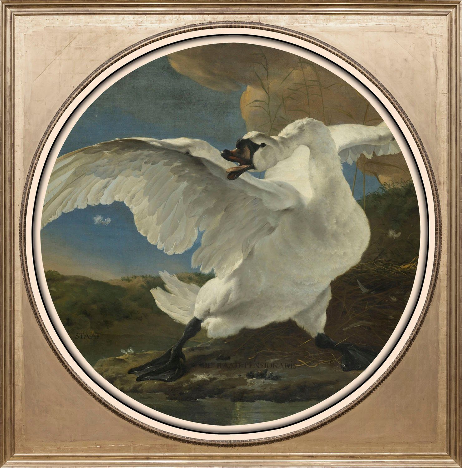 queence Acrylglasbild Schwan, Ente, Enten, Gemälde, Kunst, Vogelbilder, Vögel, Fine Art-Print in Galeriequalität