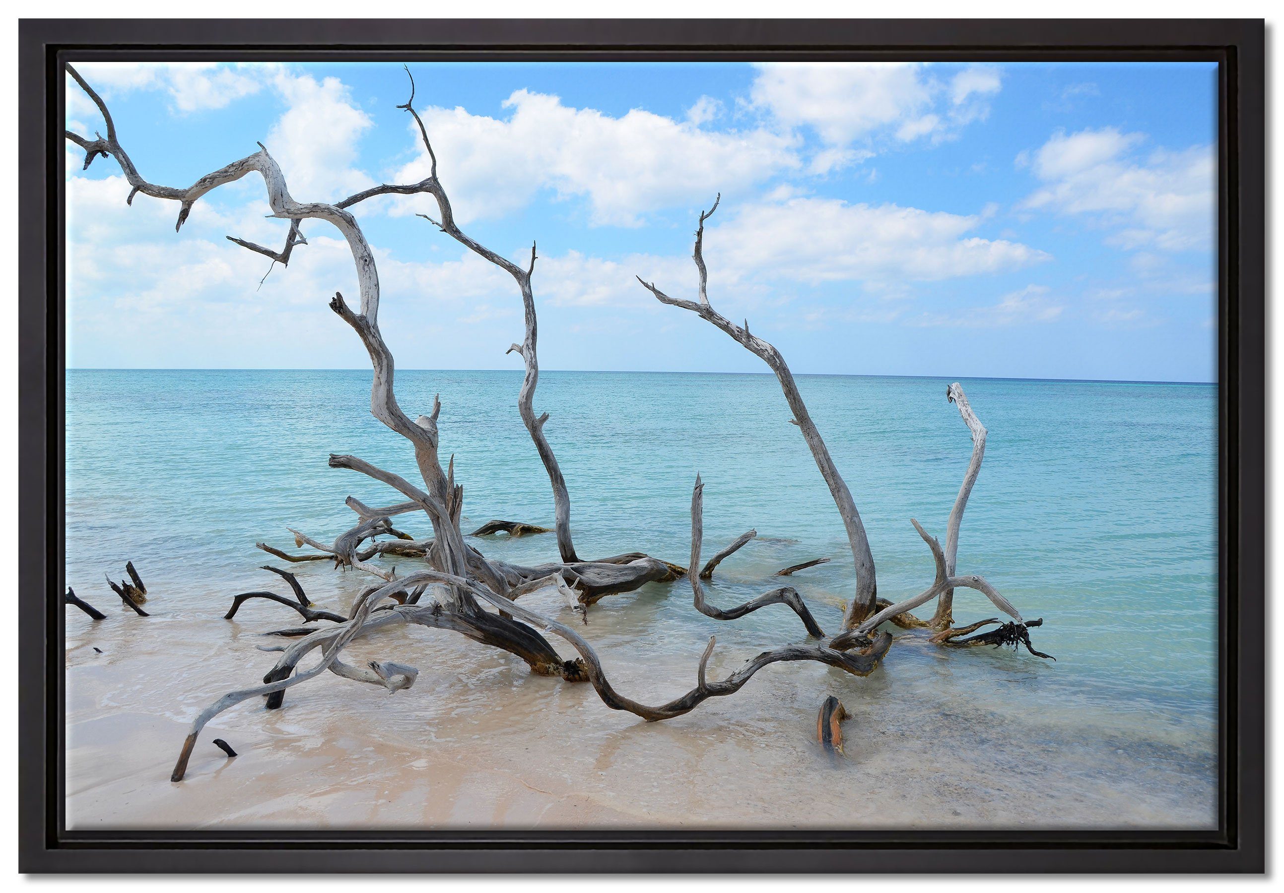 Pixxprint Leinwandbild Strand mit Treibholz in Kuba, Wanddekoration (1 St), Leinwandbild fertig bespannt, in einem Schattenfugen-Bilderrahmen gefasst, inkl. Zackenaufhänger