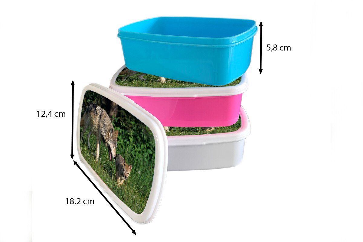 Jungs - Brotdose, Erwachsene, Kunststoff, weiß - für Lunchbox Brotbox Wolf Baby und (2-tlg), für und Gras, MuchoWow Mädchen Kinder