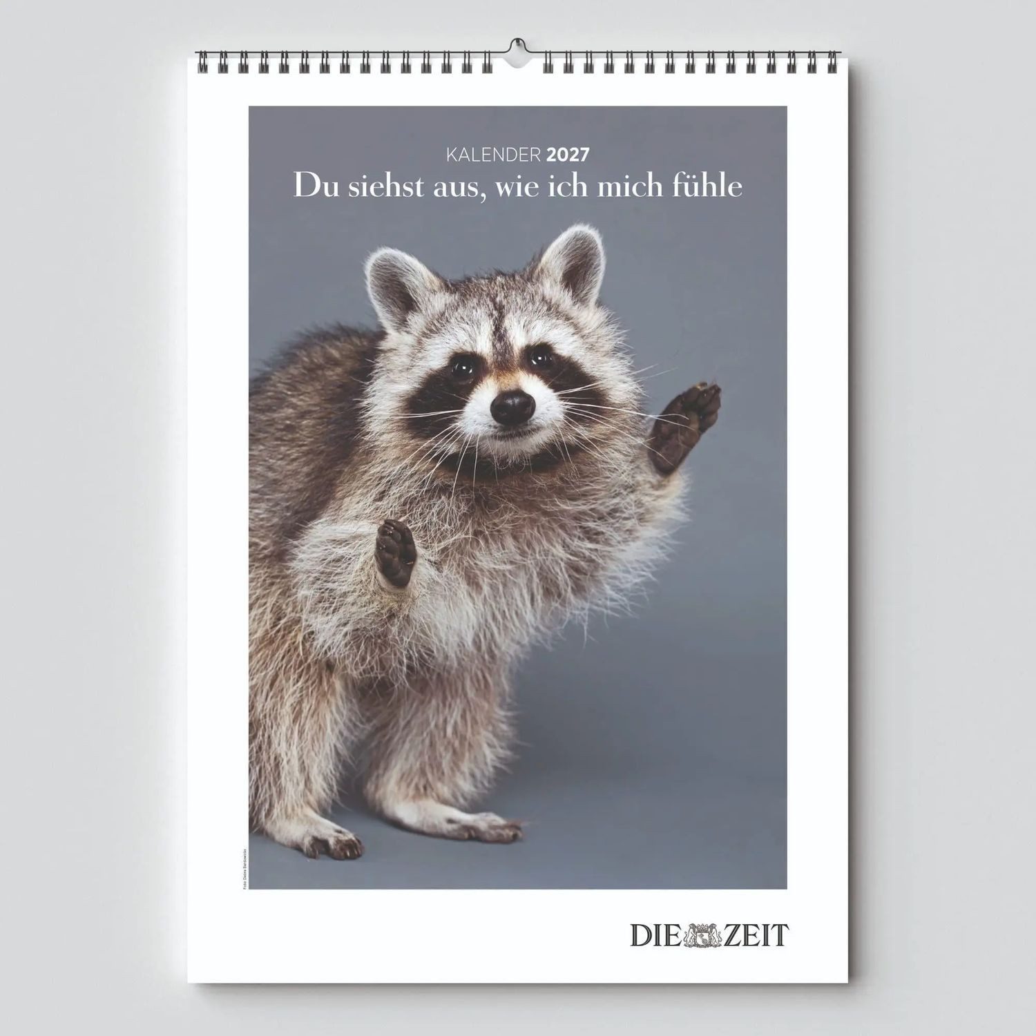 Wandkalender DIE ZEIT Kalender 2027