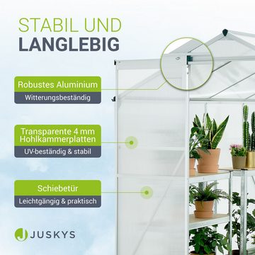 Juskys Gewächshaus GH250F1, BxTxH: 190 x 253 x 195 cm, 4 mm Wandstärke, 4,75 m², Dachfenster, stabile Aluminiumprofile, Hohlkammerplatten