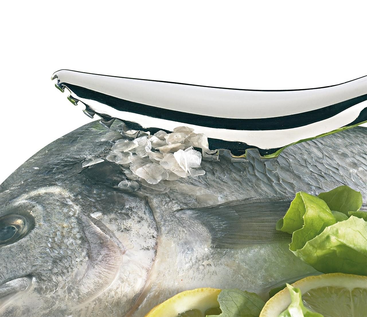 Küchenprofi Fischentschupper