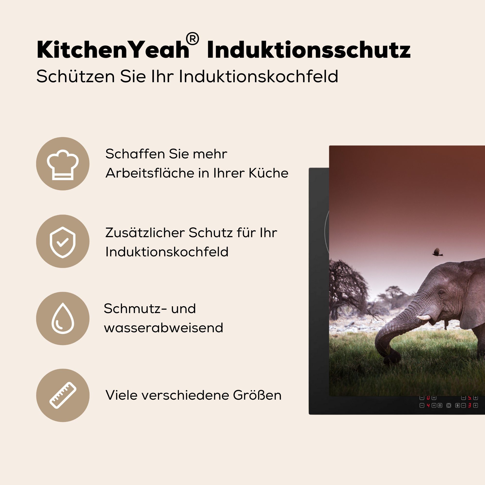 Herdblende-/Abdeckplatte Ceranfeldabdeckung - Elefant cm, Vinyl, - Tiere, für die Schutz küche, tlg), Induktionskochfeld Gras Sonne (1 MuchoWow 81x52 -