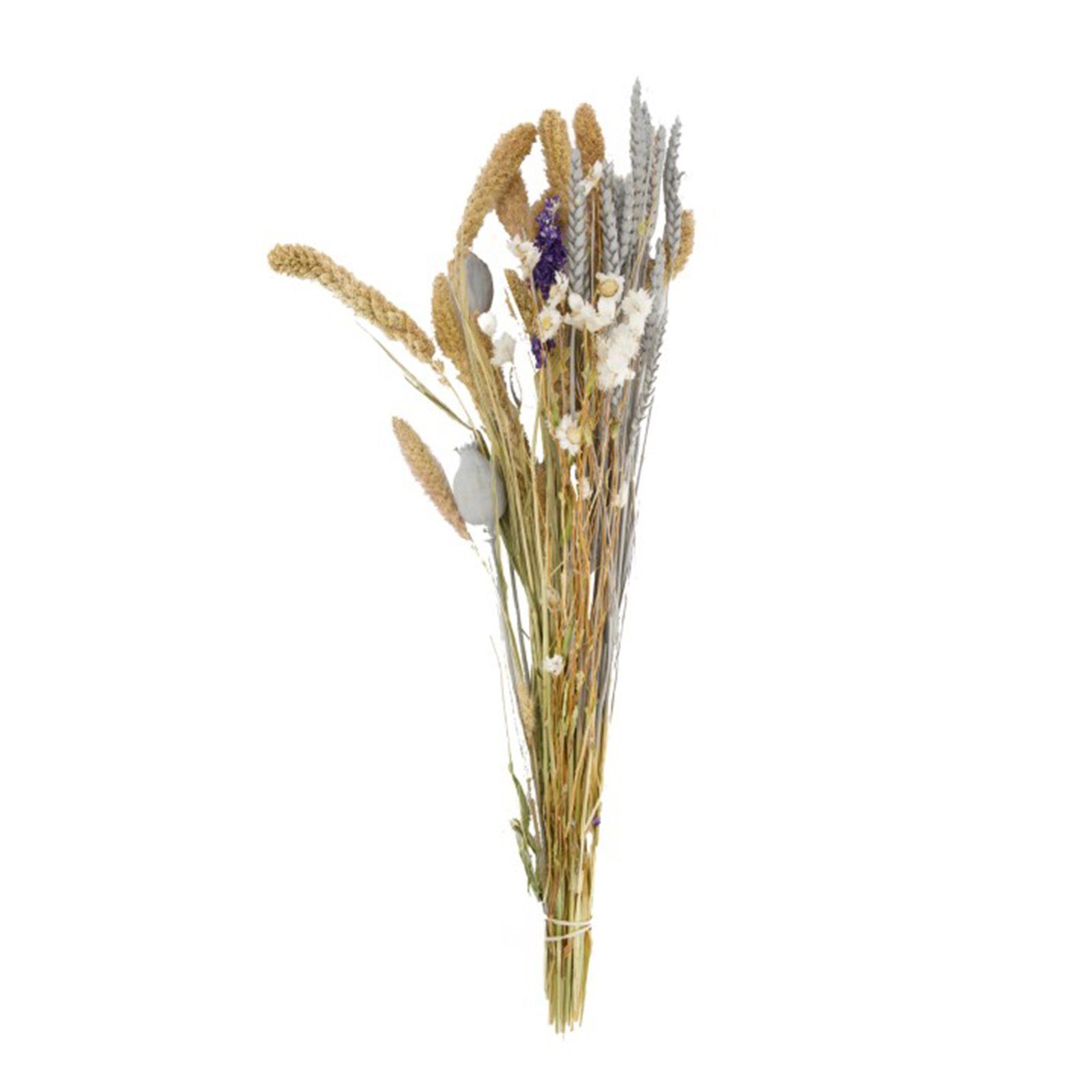 Trockenblume Getrockneter Blumenstrauß pastel - dried flower bouquet - 79 cm, DIJK
