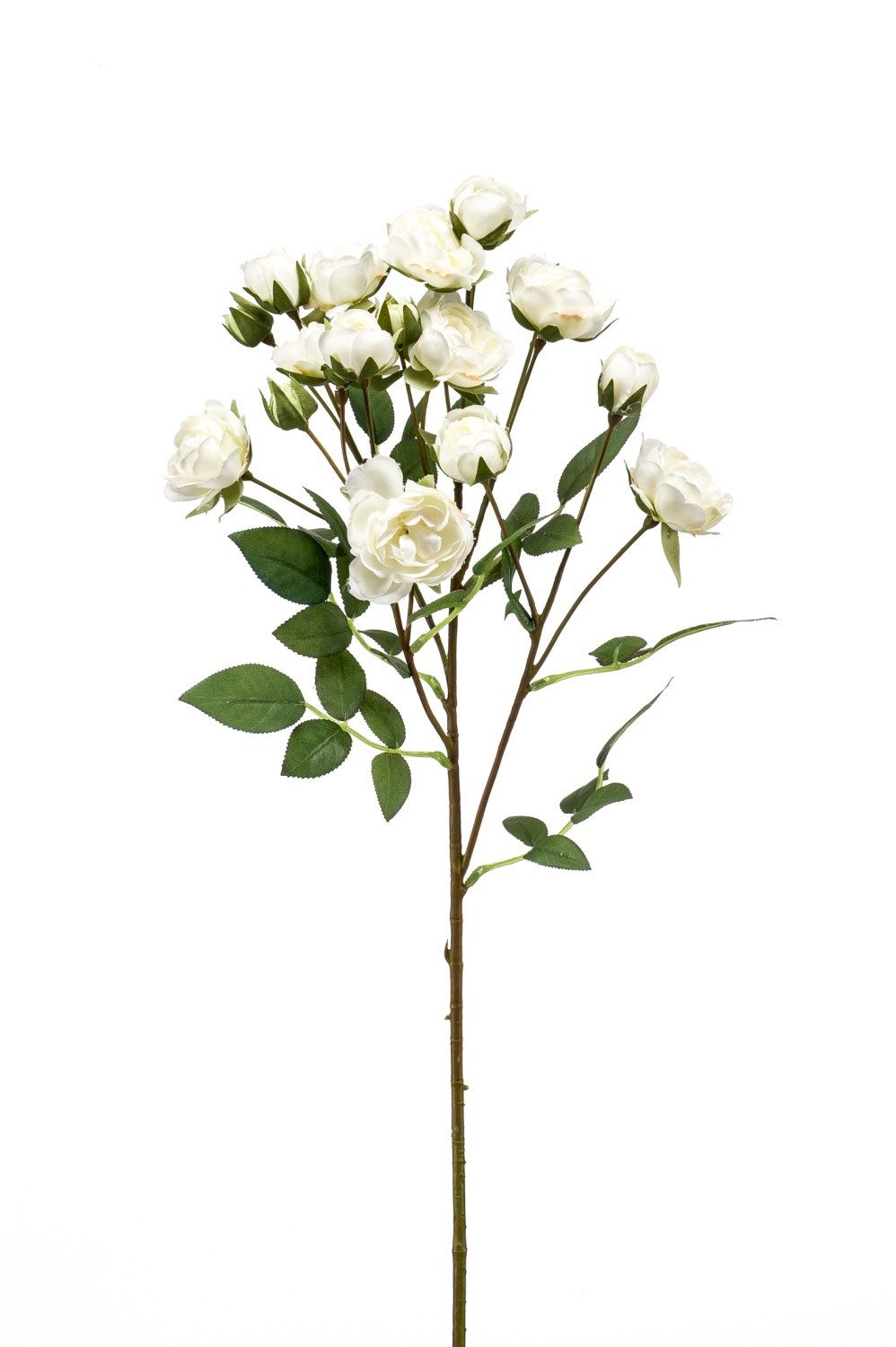 Kunstzweig Dekozweig Rosen TOSSA, weiß, 55cm Rose, artplants, Höhe 60.0 cm