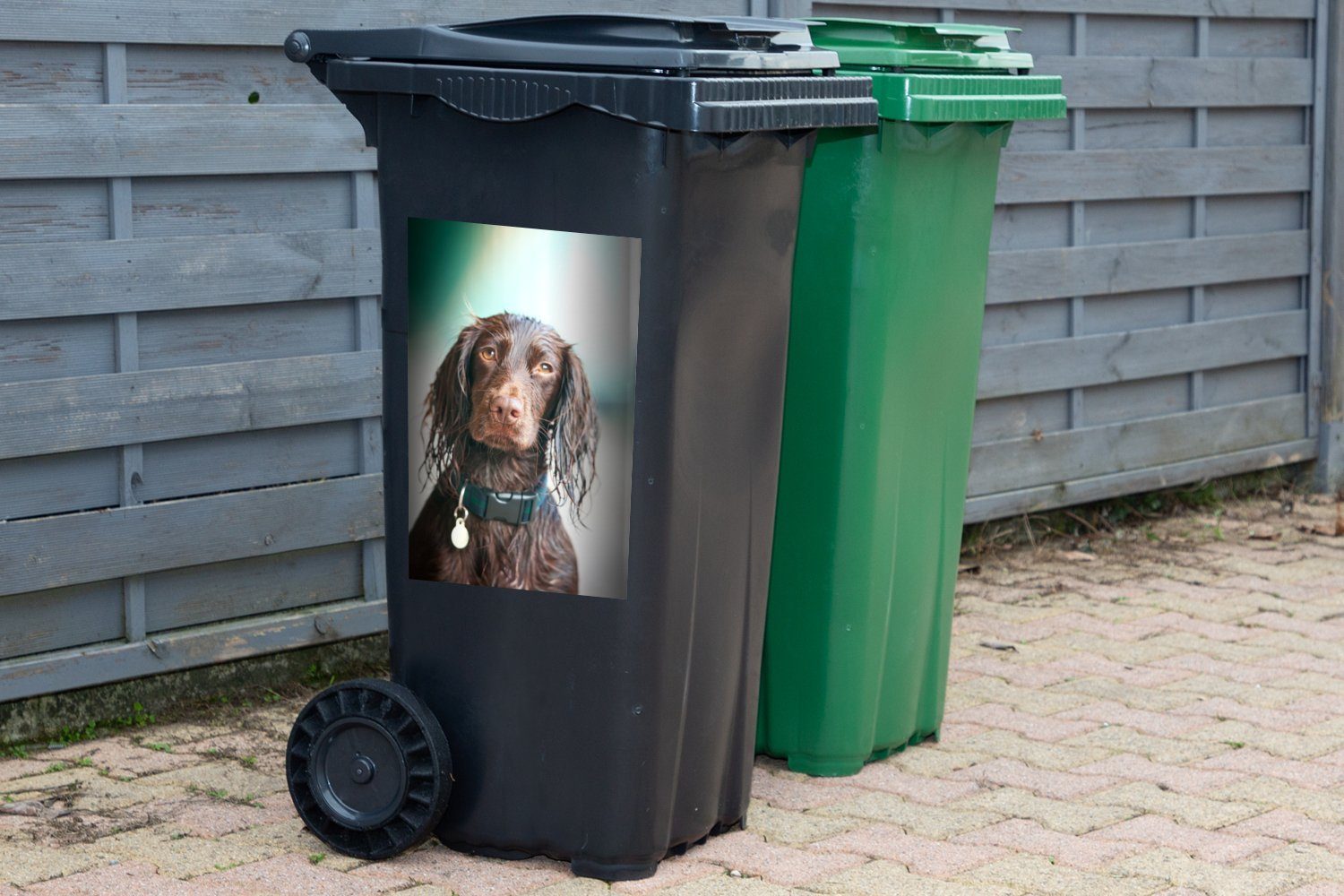 Wandsticker MuchoWow Porträt (1 Sticker, Mülltonne, Cocker braunen St), eines Container, Mülleimer-aufkleber, Spaniels Abfalbehälter