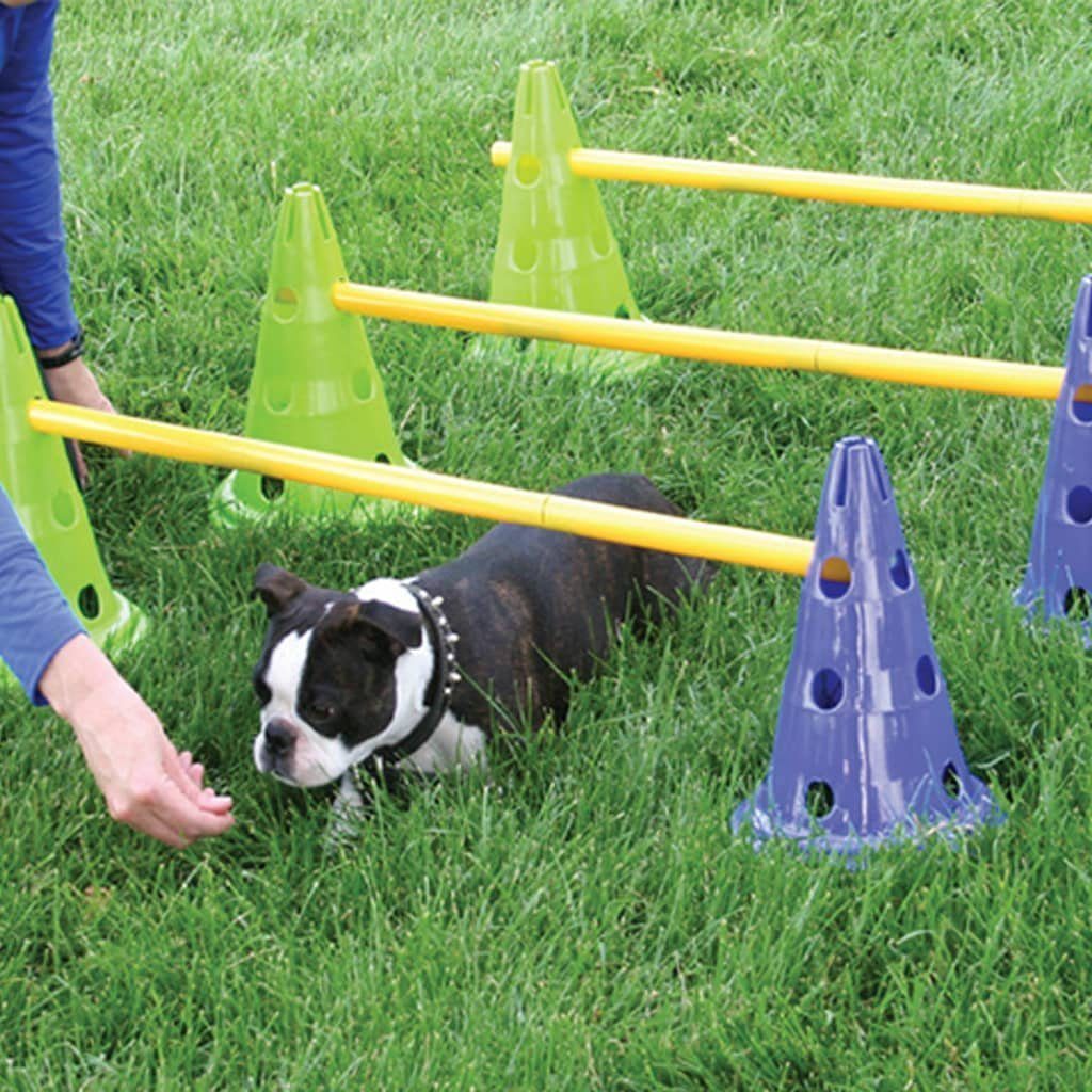 Absay udpege Beskrivende FitPAWS Agility-Hürde Hunde-Agility-Set Canine Gym, Plastik