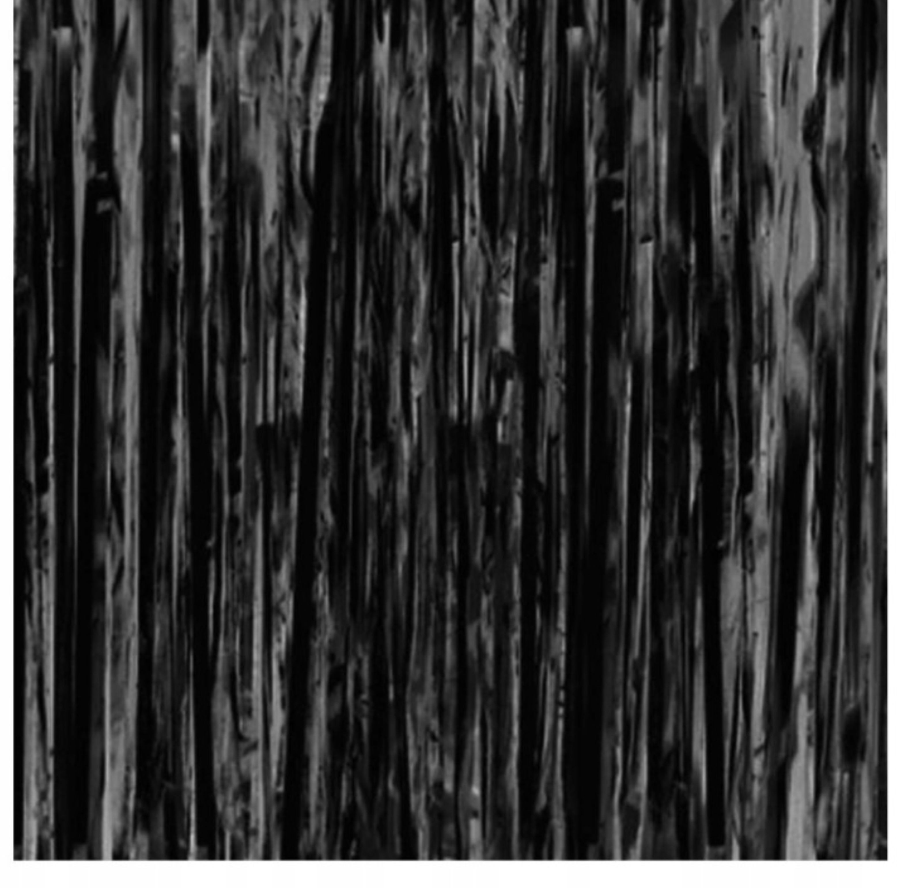 GALAXY Hängedekoration Schwarze Dekovorhang Folienvorhang 100x200 cm Halloween Silvester (1 St)