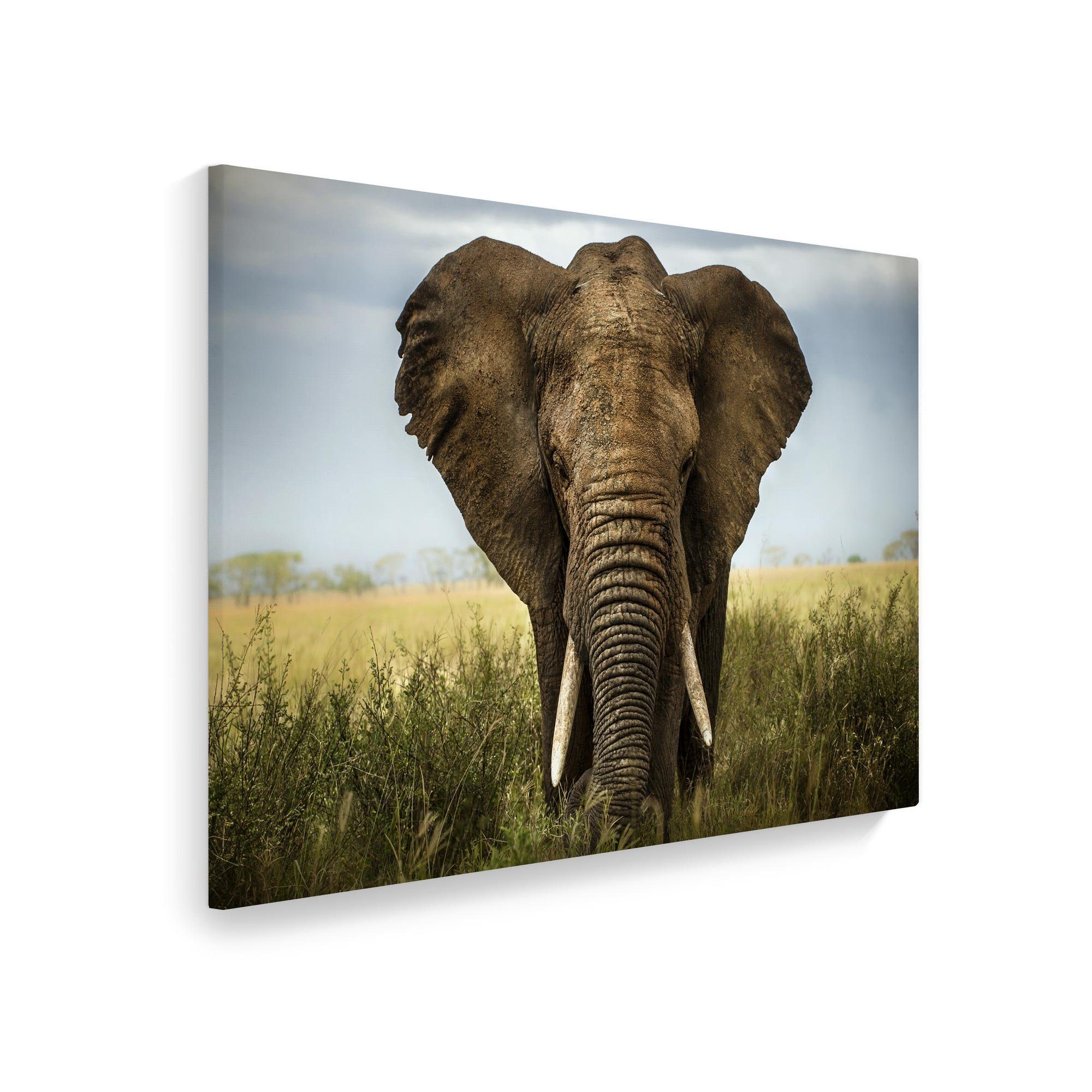 WallSpirit Leinwandbild "Elefant - Afrika" - XXL Wandbild, Leinwandbild geeignet für alle Wohnbereiche