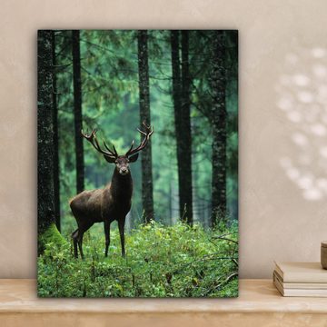 OneMillionCanvasses® Leinwandbild Hirsche - Wald - Bäume - Tiere - Natur, (1 St), Leinwand Bilder für Wohnzimmer Schlafzimmer 30x40 cm