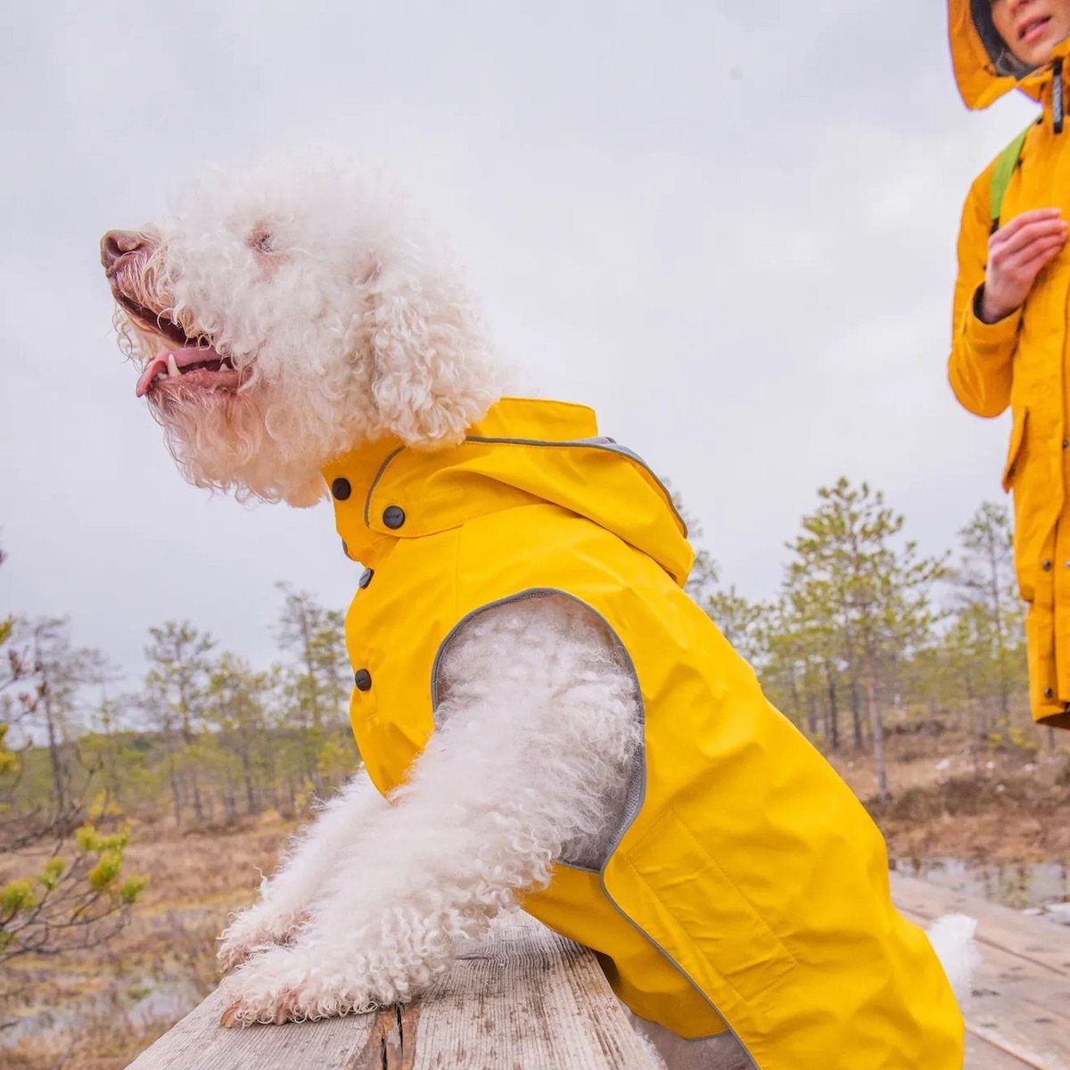 Rukka Hunderegenmantel Hunde-Regenmantel "Stream Raincoat" gelb