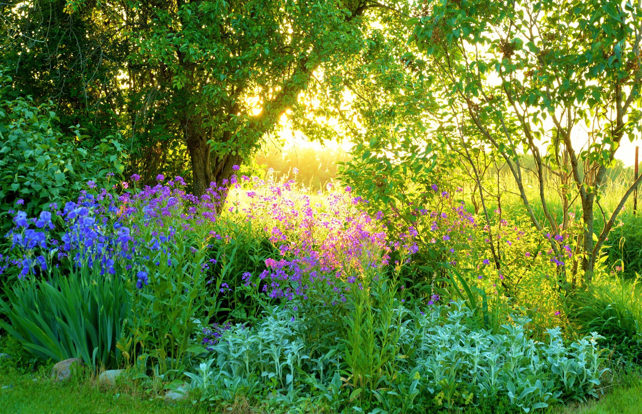 Papermoon Fototapete »GARTENBLUMEN BÄUME PFLANZEN PARK STEINE BLÜTEN