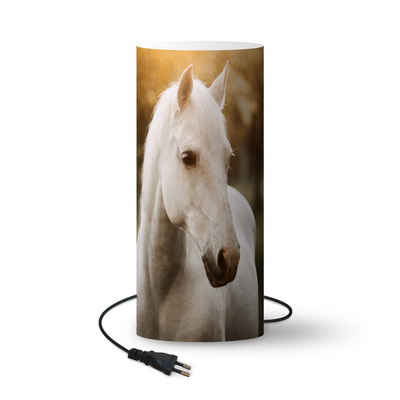MuchoWow Nachttischlampe »Pferd - Sonne - Herbst - Tiere - Natur«, Tischlampe Tischleuchte Kinderzimmer Büro Stehlampen Stehleuchte LED