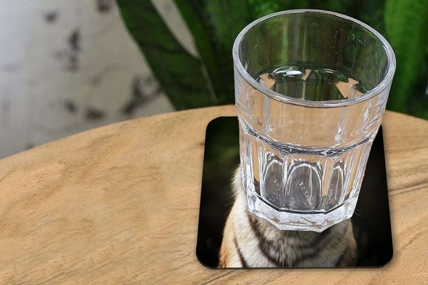 MuchoWow Glasuntersetzer Tiere für Tasse - - Glasuntersetzer, Gläser, Tischuntersetzer, 6-tlg., Natur, Zubehör Untersetzer, Korkuntersetzer, Tiger