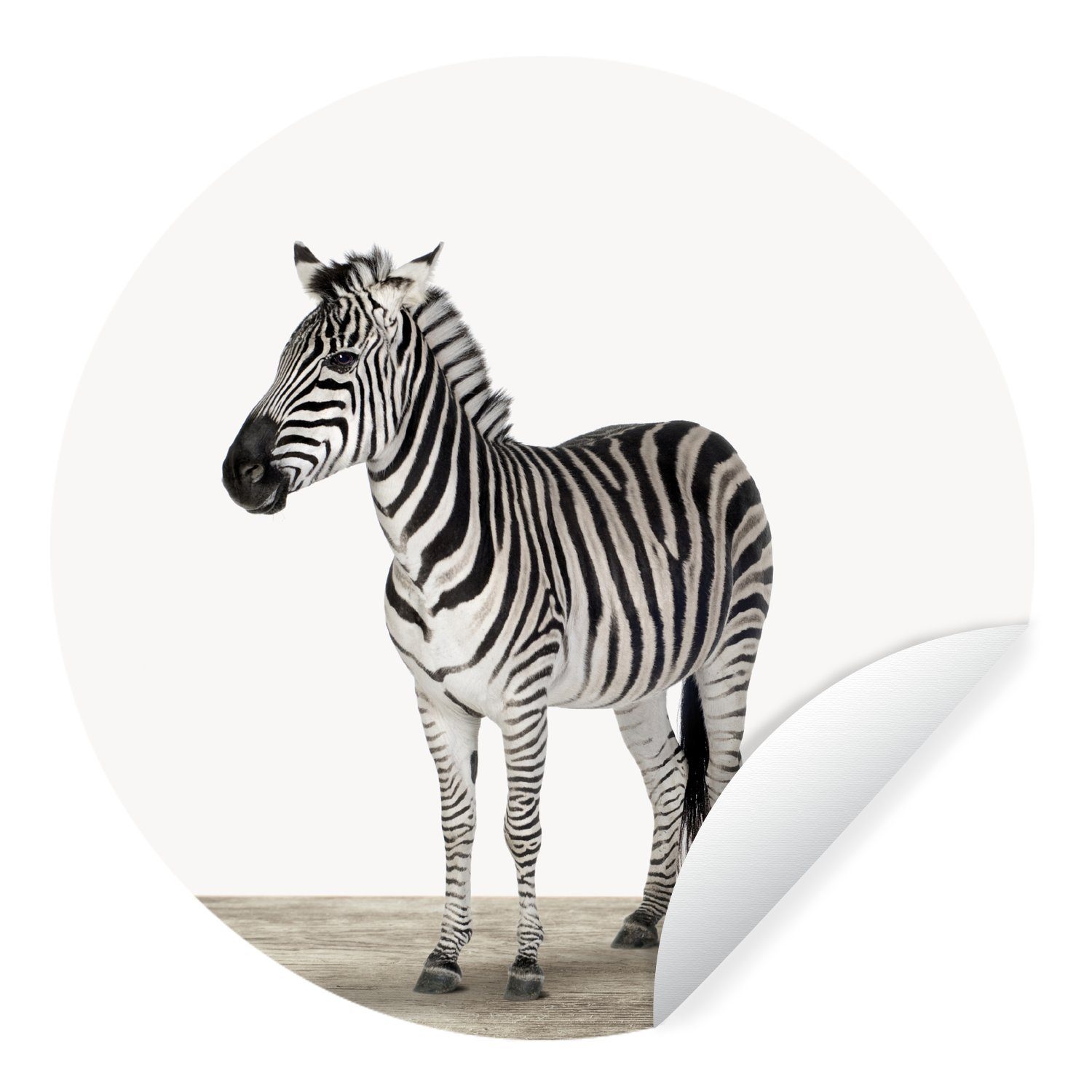 MuchoWow Wandsticker Tiere - Zebra - Schwarz - Weiß (1 St), Tapetenkreis für Kinderzimmer, Tapetenaufkleber, Rund, Wohnzimmer