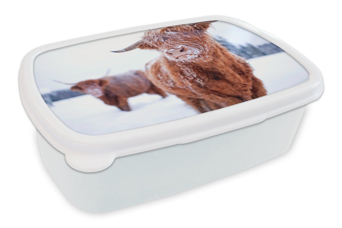 MuchoWow Lunchbox Schottischer Highlander - Schnee - Haut, Kunststoff, (2-tlg), Brotbox für Kinder und Erwachsene, Brotdose, für Jungs und Mädchen weiß