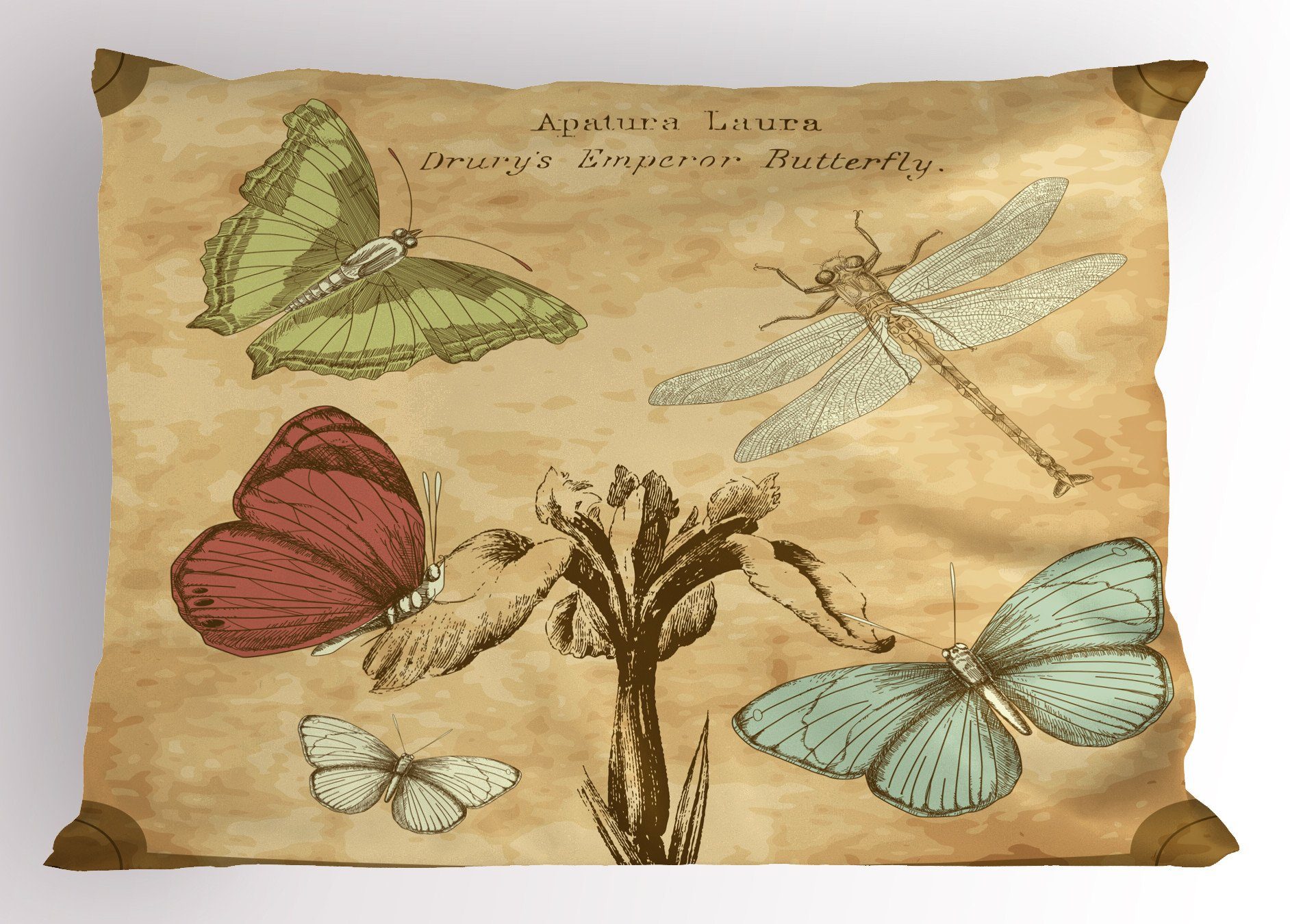 Kissenbezüge Dekorativer Standard (1 Abakuhaus Kissenbezug, Schmetterlings-Kunst King Libelle Stück), Gedruckter Retro Size