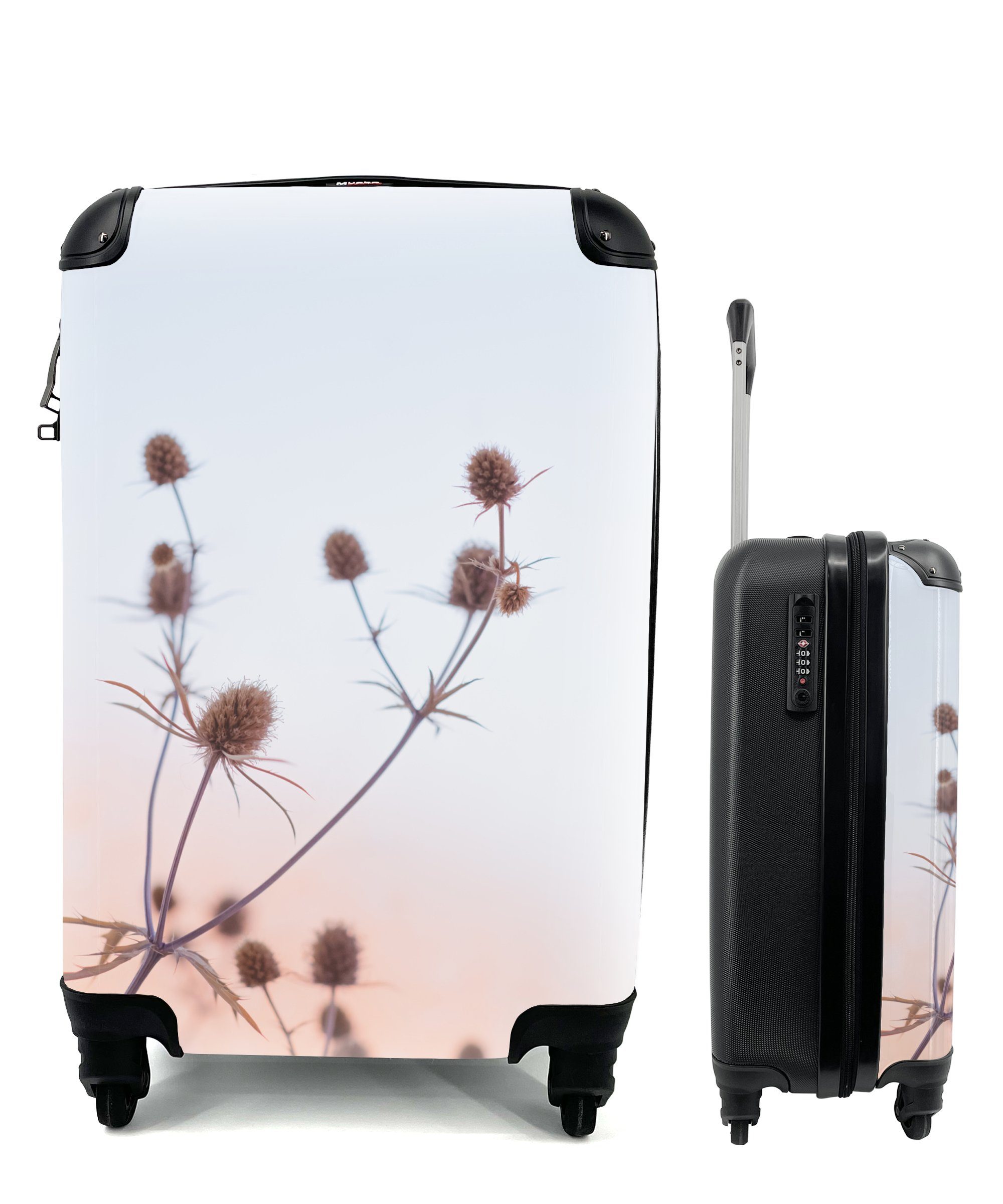 MuchoWow Handgepäckkoffer Getrocknete Blumen - Pastell - Himmel, 4 Rollen, Reisetasche mit rollen, Handgepäck für Ferien, Trolley, Reisekoffer