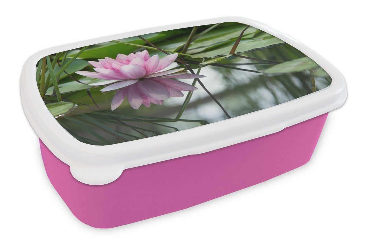 MuchoWow Lunchbox Blumen - Lotus - Wasser, Kunststoff, (2-tlg), Brotbox für Erwachsene, Brotdose Kinder, Snackbox, Mädchen, Kunststoff rosa