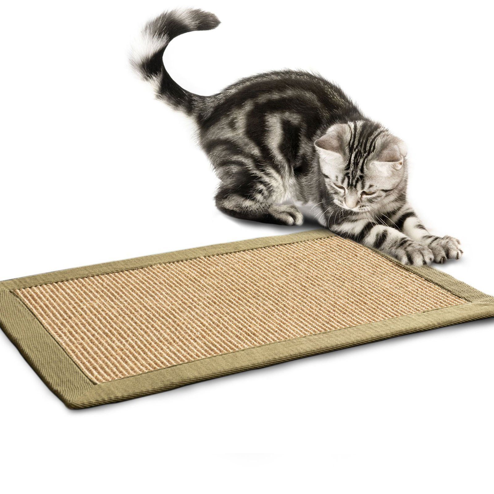 Karat Kratzbrett Kratzteppich für Katzen, Spielteppich, Krallen, verschiedene Bordürenfarben