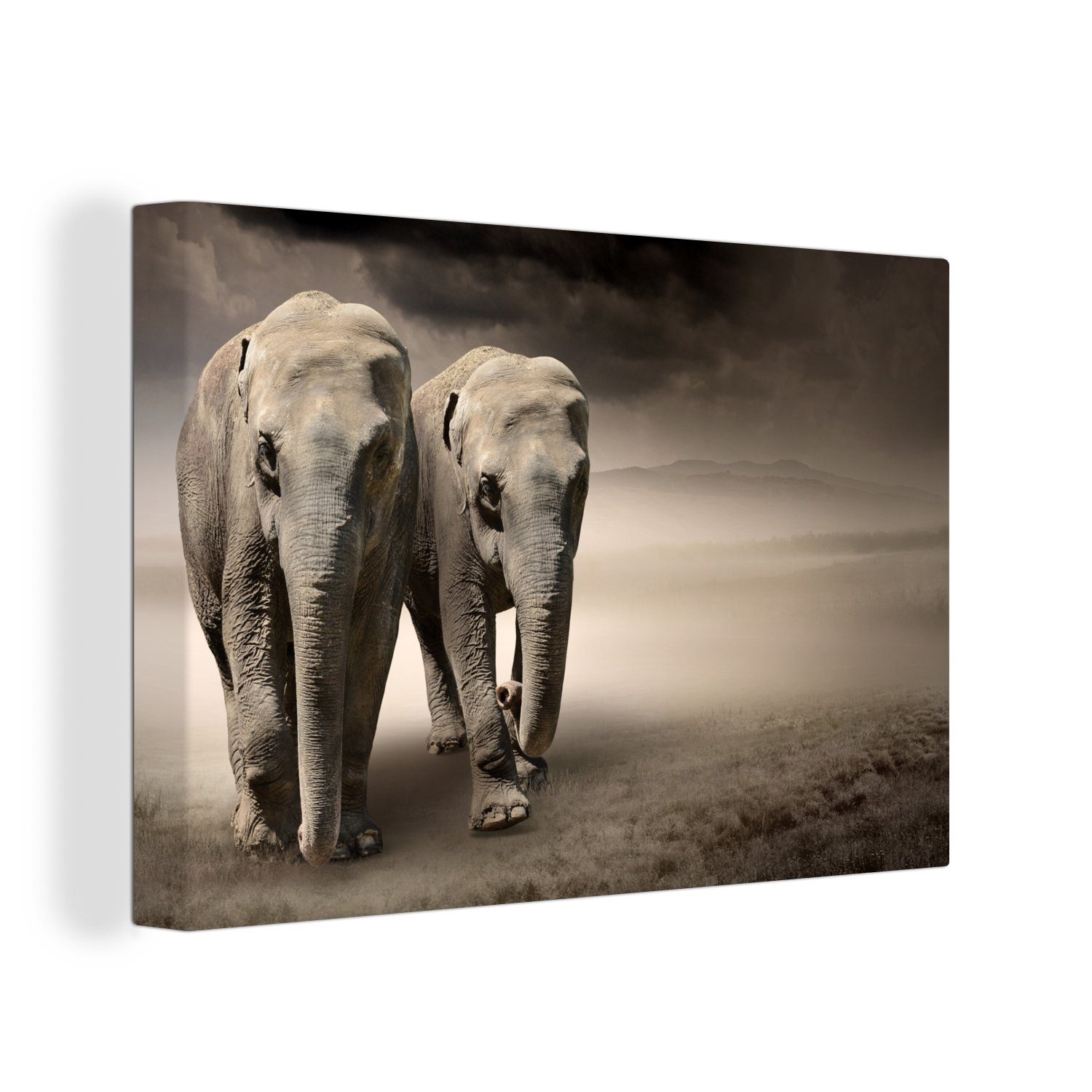 OneMillionCanvasses® Leinwandbild Elefant - Berg - Nebel, (1 St), Wandbild Leinwandbilder, Aufhängefertig, Wanddeko, 30x20 cm