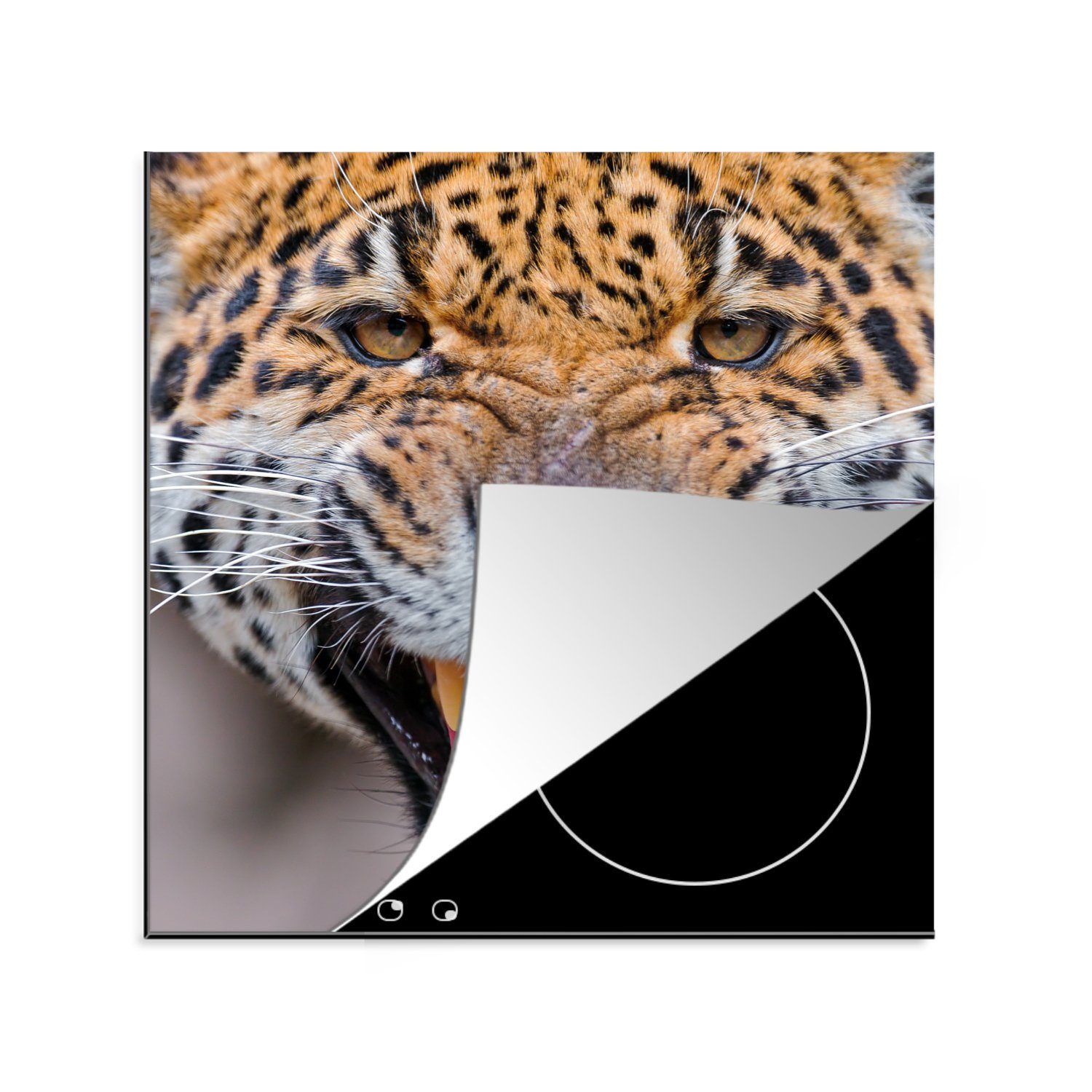 MuchoWow Herdblende-/Abdeckplatte Jaguar - Makro - Tier, Vinyl, (1 tlg), 78x78 cm, Ceranfeldabdeckung, Arbeitsplatte für küche